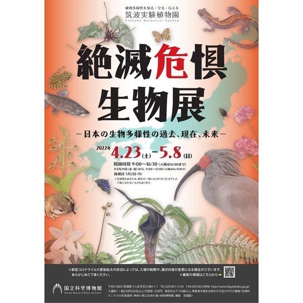 企画展「絶滅危惧生物展ー日本の生物多様性の過去、現在、未来ー」