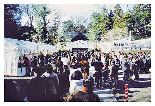 須賀神社 初詣