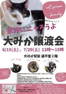 Rescue Cat Adoption Event<br />
保護猫譲渡会 in 大みか