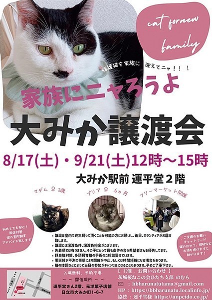 Rescue Cat Adoption Event<br />
保護猫譲渡会 in 大みか