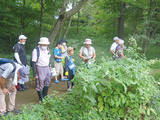 古河公方公園<br />
秋の植物観察会