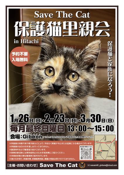 保護猫と家族になろう！<br />
保護猫里親会 in Hitachi