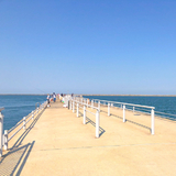 茨城県鹿島港魚釣園