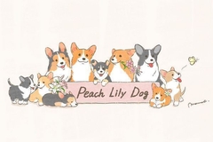 Peach Lily Dog											