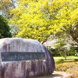 卜伝の郷運動公園