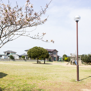 宮津台ふれあい公園