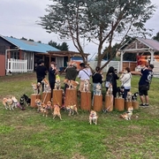 豆柴同窓会、開催しました！