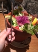 植木鉢に入ったボリューミーなサラダ！